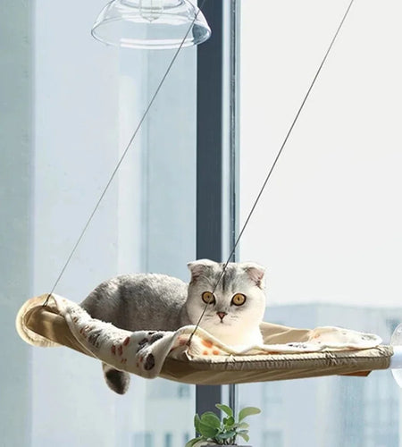 Hanging Cat Bed Pet Cat Hammock Aerial Cats Bed House Kitten Climbing Frame Sunny Window Seat Nest Bearing 20Kg Pet Winter